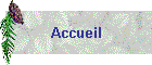 Accueil