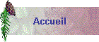 Accueil